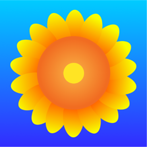 sunflower browser 1